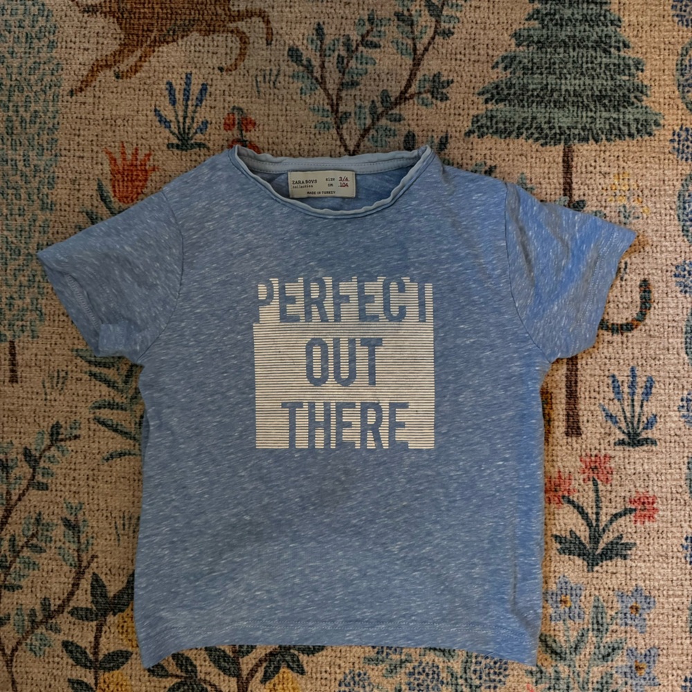 Zara tshirt